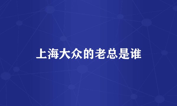 上海大众的老总是谁