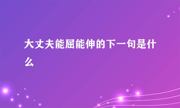 大丈夫能屈能伸的下一句是什么