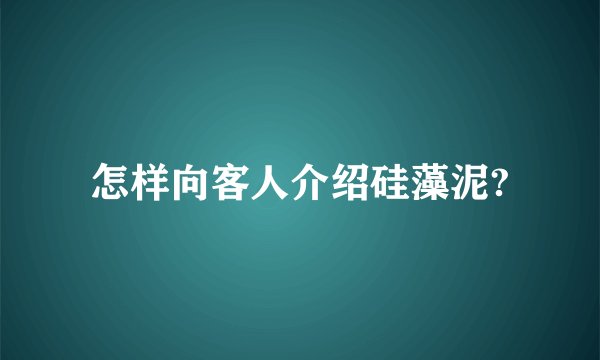 怎样向客人介绍硅藻泥?