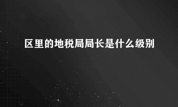 区里的地税局局长是什么级别