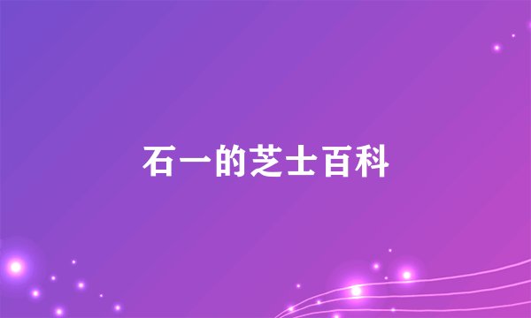 石一的芝士百科