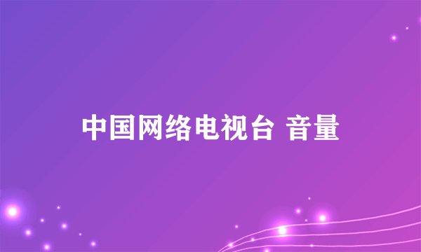 中国网络电视台 音量