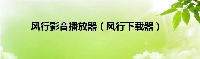 风行影音播放器（风行下载器）