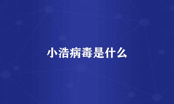 小浩病毒是什么