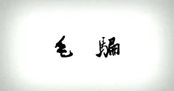 为什么像《毛骗》这么好的网剧周围看过的人很少？