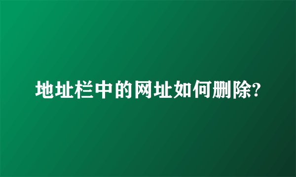地址栏中的网址如何删除?