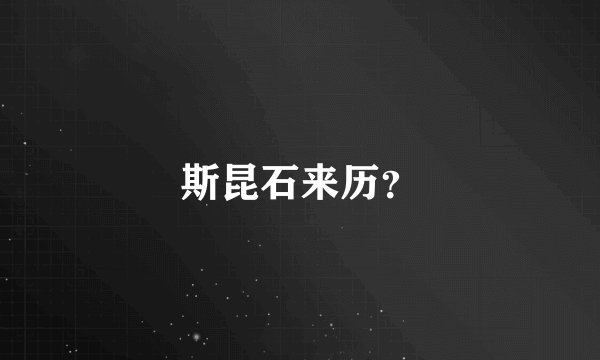 斯昆石来历？