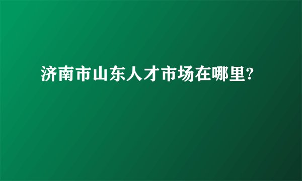 济南市山东人才市场在哪里?
