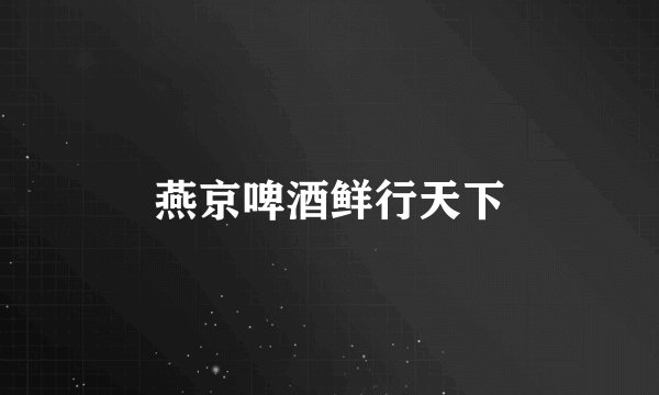 燕京啤酒鲜行天下