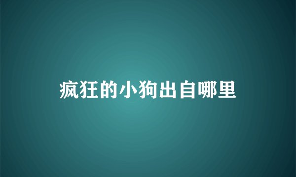 疯狂的小狗出自哪里