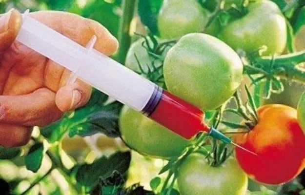 转基因食品名单,如何鉴别转基因食物