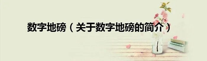 数字地磅（关于数字地磅的简介）