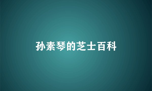 孙素琴的芝士百科