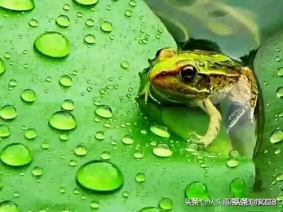 孩子高中被班主任殴打侮辱,但是又不敢得罪老师,只能安抚孩子,怎么办?