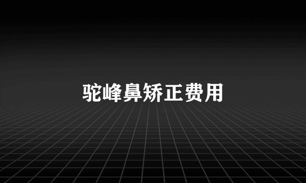 驼峰鼻矫正费用