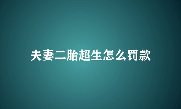 夫妻二胎超生怎么罚款