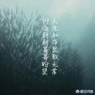 你有没有一个人,分开并不是不爱,后面一直不联系,却隐藏在心中?