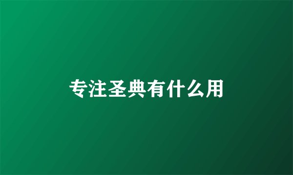 专注圣典有什么用