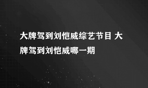 大牌驾到刘恺威综艺节目 大牌驾到刘恺威哪一期