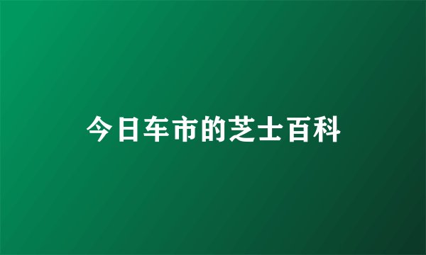 今日车市的芝士百科