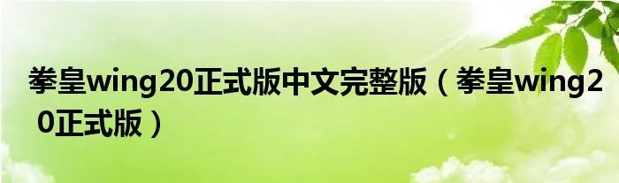 拳皇wing20正式版中文完整版（拳皇wing2 0正式版）