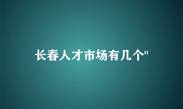 长春人才市场有几个