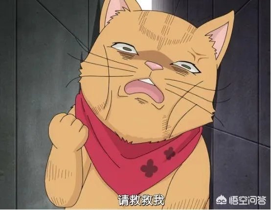动漫中有哪些丑萌的角色?