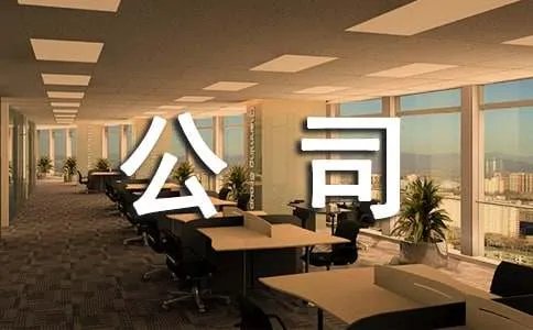 公司网站建设方案
