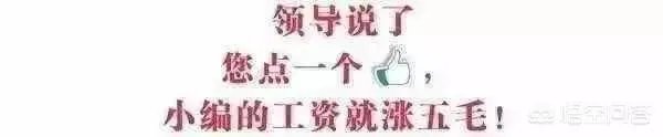 你身边有经历过传销的人吗,都怎样了?