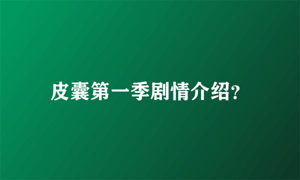 皮囊第一季剧情介绍？