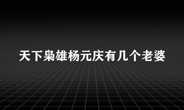 天下枭雄杨元庆有几个老婆
