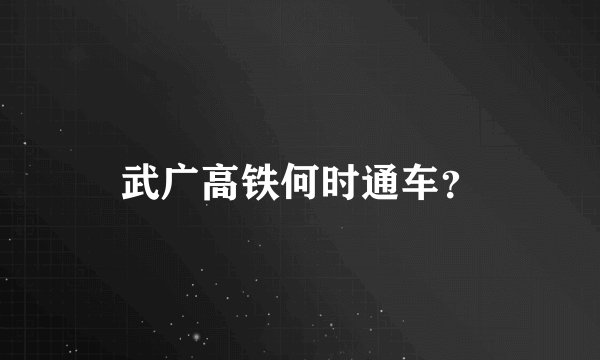 武广高铁何时通车？