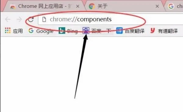 谷歌浏览器adobe flash player 已过期怎么解决
