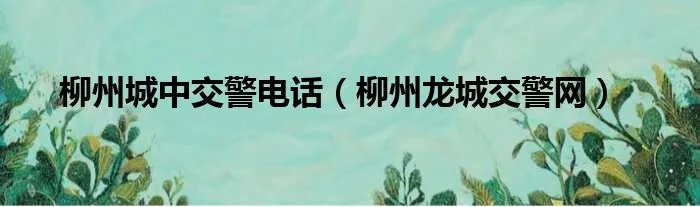 柳州城中交警电话（柳州龙城交警网）