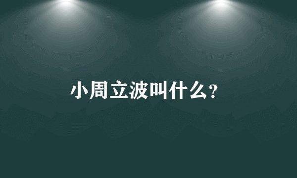 小周立波叫什么？