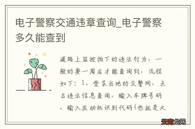 电子警察交通违章查询_电子警察多久能查到
