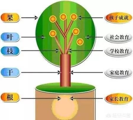 你会为了孩子上个好学校,拼尽全力买学区房吗?