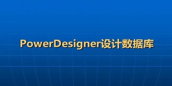 powerdesigner中文版
