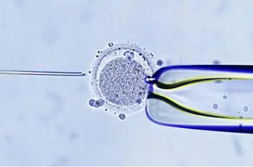 试管促排-【医生手记】试管婴儿常用的6种促排卵药物