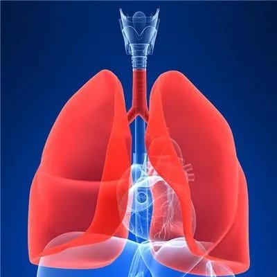 肺癌生物治疗费用