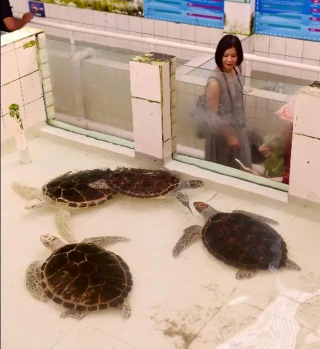 惠州惠东港口镇好不好玩,听说有很多海鲜?