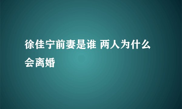徐佳宁前妻是谁 两人为什么会离婚