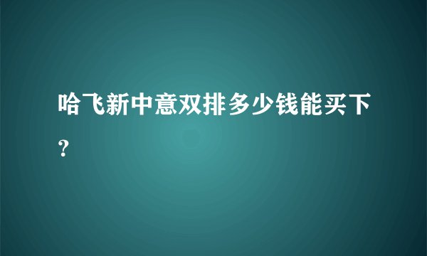 哈飞新中意双排多少钱能买下？
