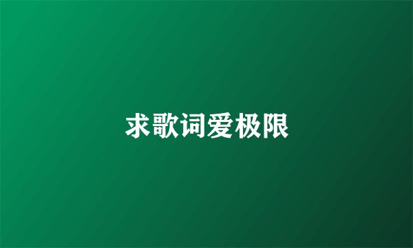 求歌词爱极限