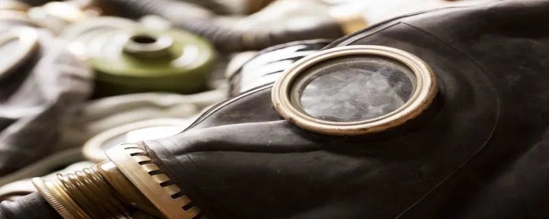 防毒面具根据什么动物的脸做的
