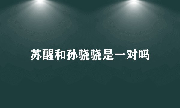 苏醒和孙骁骁是一对吗
