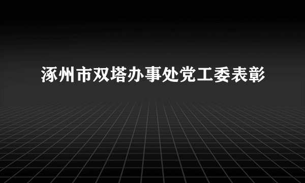 涿州市双塔办事处党工委表彰