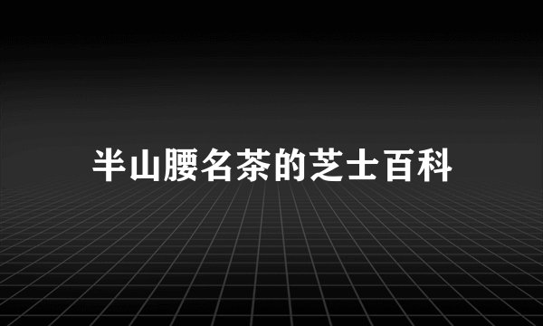 半山腰名茶的芝士百科