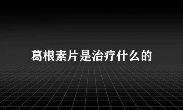 葛根素片是治疗什么的