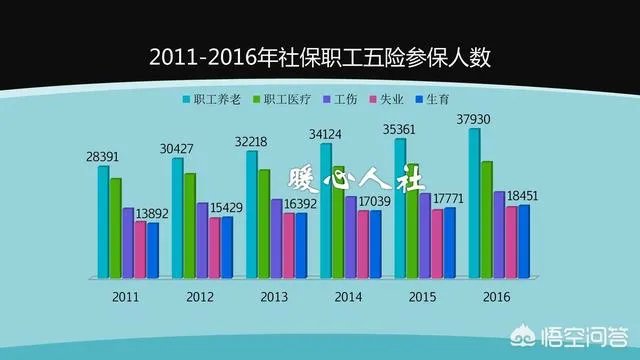 个体工商户如何办理养老保险?